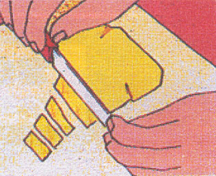 Pasta Modellante per Cornici cornice-2